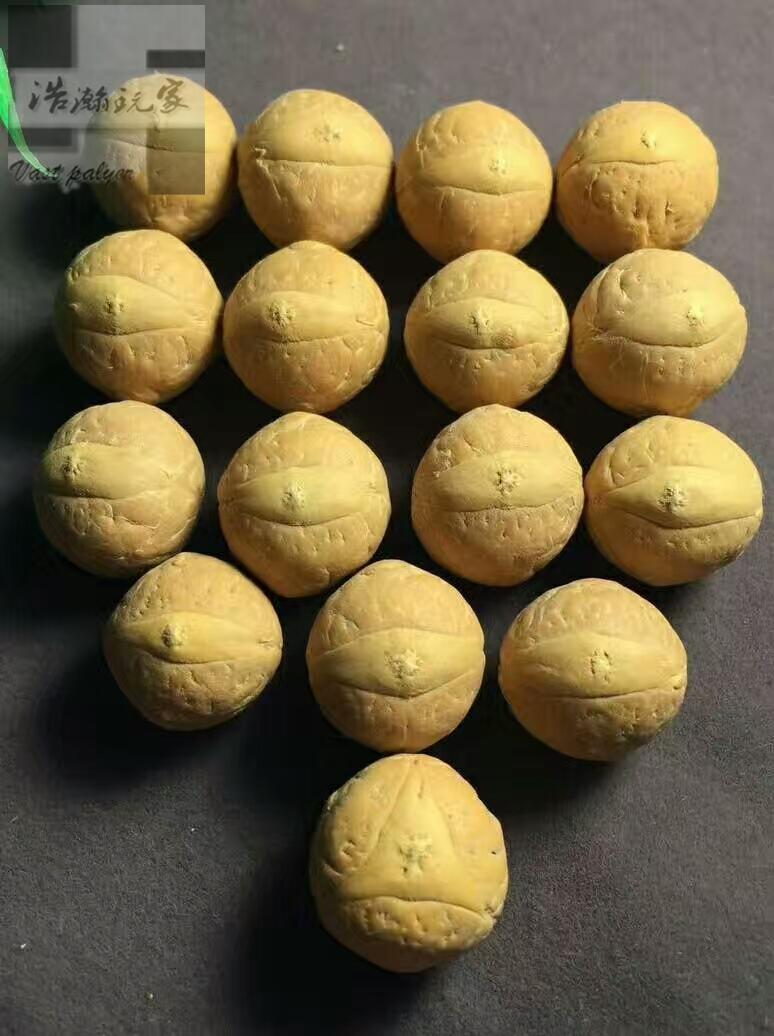 菩提手串